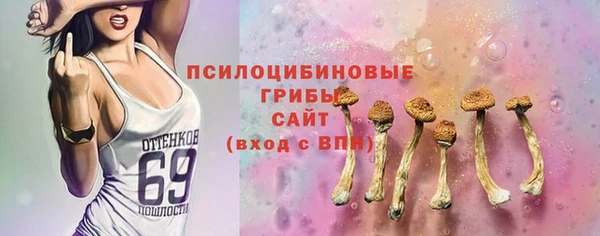 гидра Михайловка