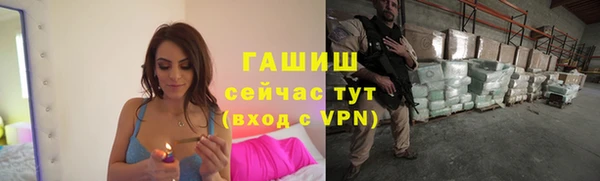 гидра Михайловка