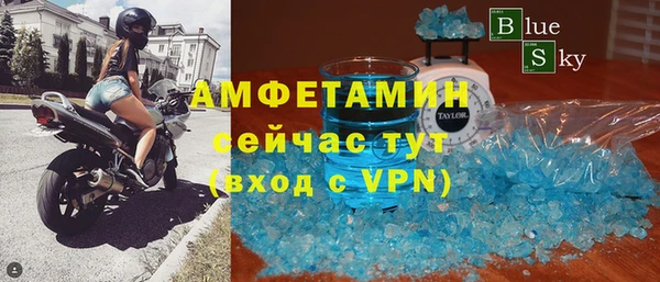 гидра Михайловка