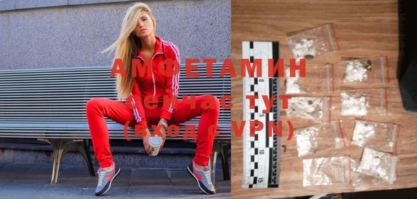 гидра Михайловка