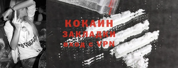 гидра Михайловка