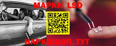 ALPHA PVP Гудермес