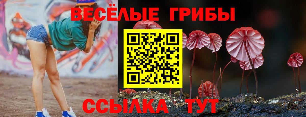 Псилоцибиновые грибы Psilocybine cubensis  Вход с VPN  наркотики  Галлюциногенные грибы мухоморы  Челябинск 