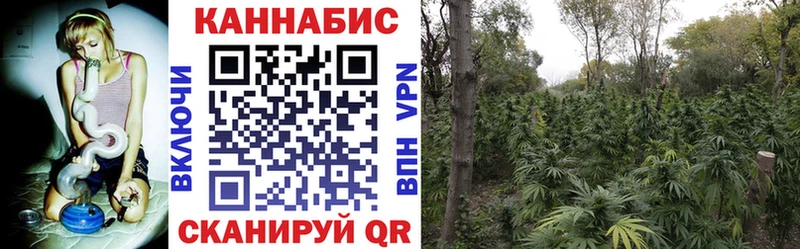 Конопля план  Челябинск 